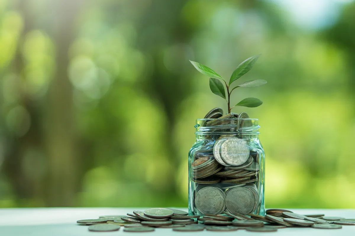 Glass jar with small plant and coin inside. Financial and busine